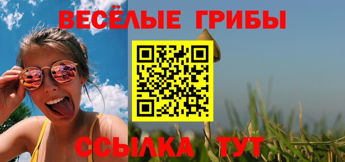 Псилоцибиновые грибы Magic Shrooms  Вход с VPN  Ставрополь  Галлюциногенные грибы мухоморы 